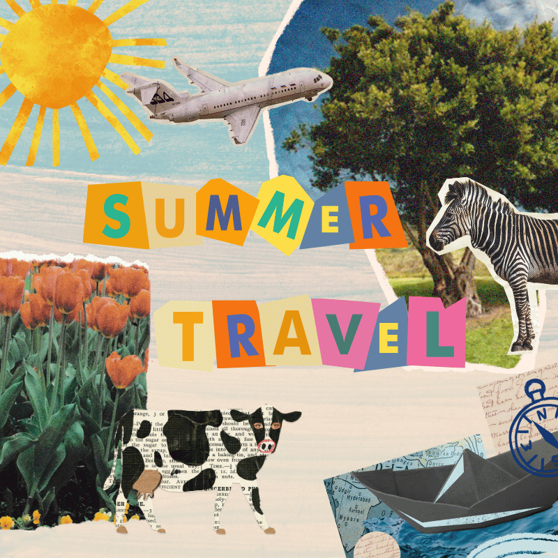 Summer Travel