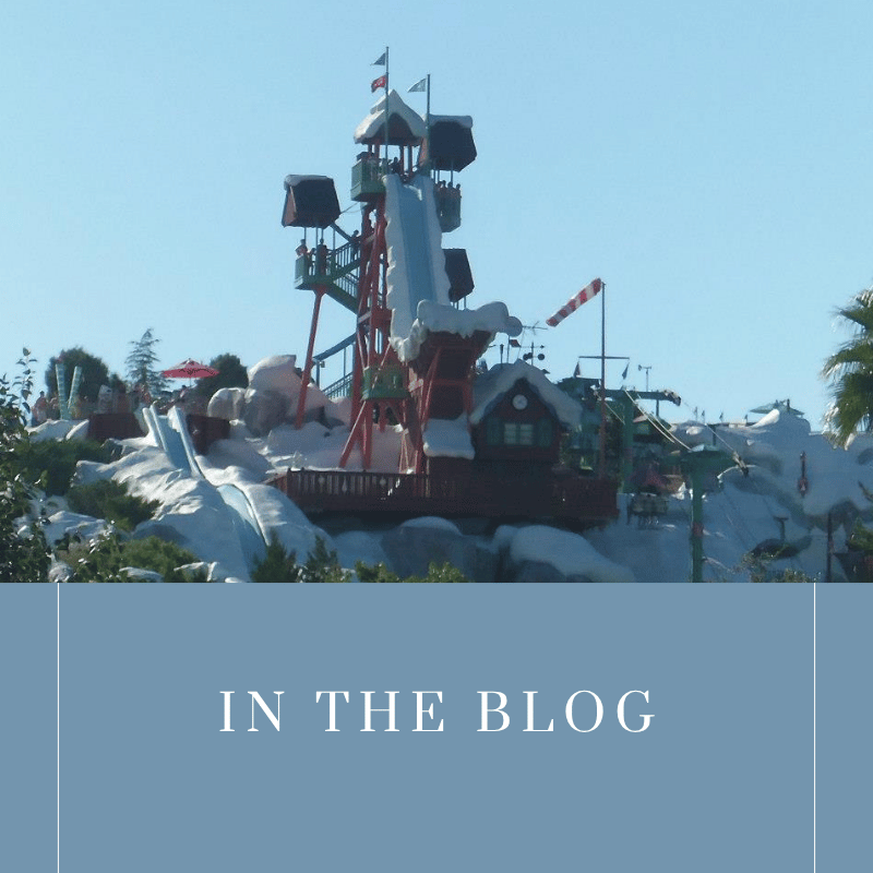 Blog