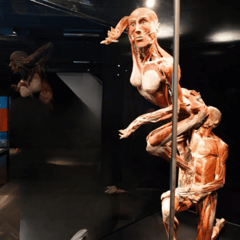 🎟️Unforgettable Holiday Activities and Experiences | Air-Holiday 41 Amsterdam’s Body Worlds Experience