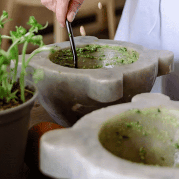 🎟️Unforgettable Holiday Activities and Experiences | Air-Holiday 45 Cooking Class in Santa Margherita – Italy
