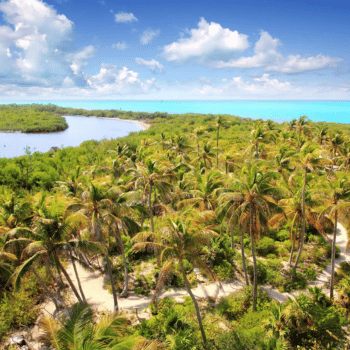 🎟️Unforgettable Holiday Activities and Experiences | Air-Holiday 34 Contoy Island & Isla Mujeres Tour – Mexico