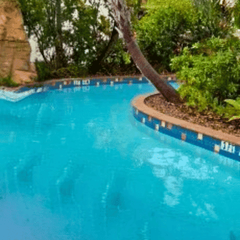 🏖️ Cabana Bay Beach Resort Review with Volcano Bay View – A Fantastic Family Hotel 19 Serene view of Cabana Bay’s lazy river surrounded by tropical plants and palm trees