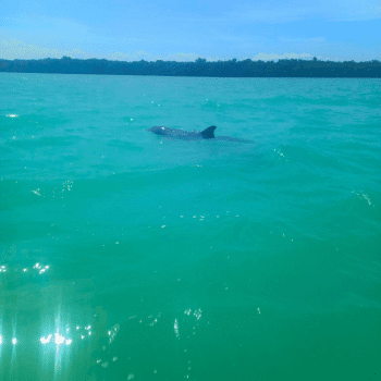 🎟️Unforgettable Holiday Activities and Experiences | Air-Holiday 24 Sian Ka’an Biosphere Reserve, Mexico