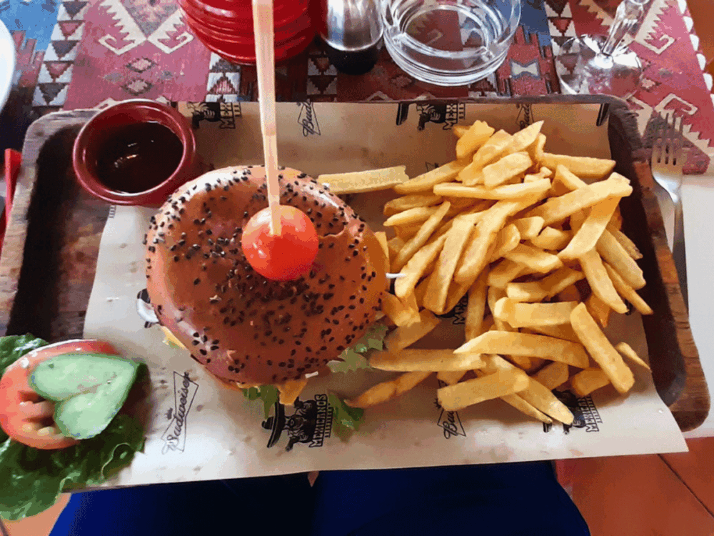 Burger with fries, salad garnish and dipping sauce