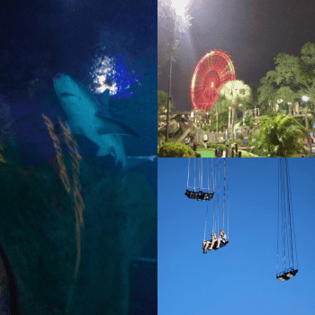 🎟️Unforgettable Holiday Activities and Experiences | Air-Holiday 11 Icon Park – Orlando, Florida