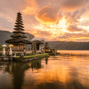 Green rice terraces surrounded by palm trees in Ubud, Bali, Indonesia