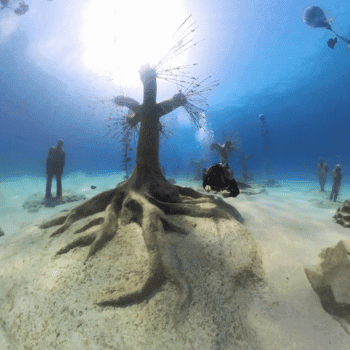 Ayia Napa in May – A Mum & Daughter Escape 🌊☀️ 51 Scuba diver exploring underwater sculptures and tree-like installations at the Musan Underwater Museum in Ayia Napa