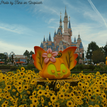 Compare Flights and Travel Essentials 35 Disneyland Paris castle surrounded by Halloween pumpkins and flowers.