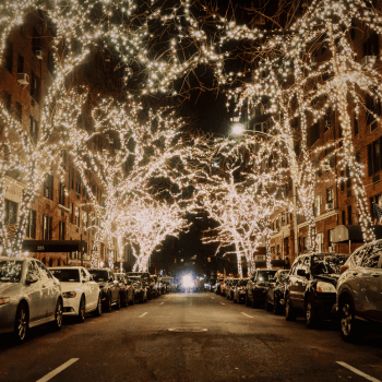 Compare Flights and Travel Essentials 44 New York City street lined with trees covered in golden Christmas lights at night