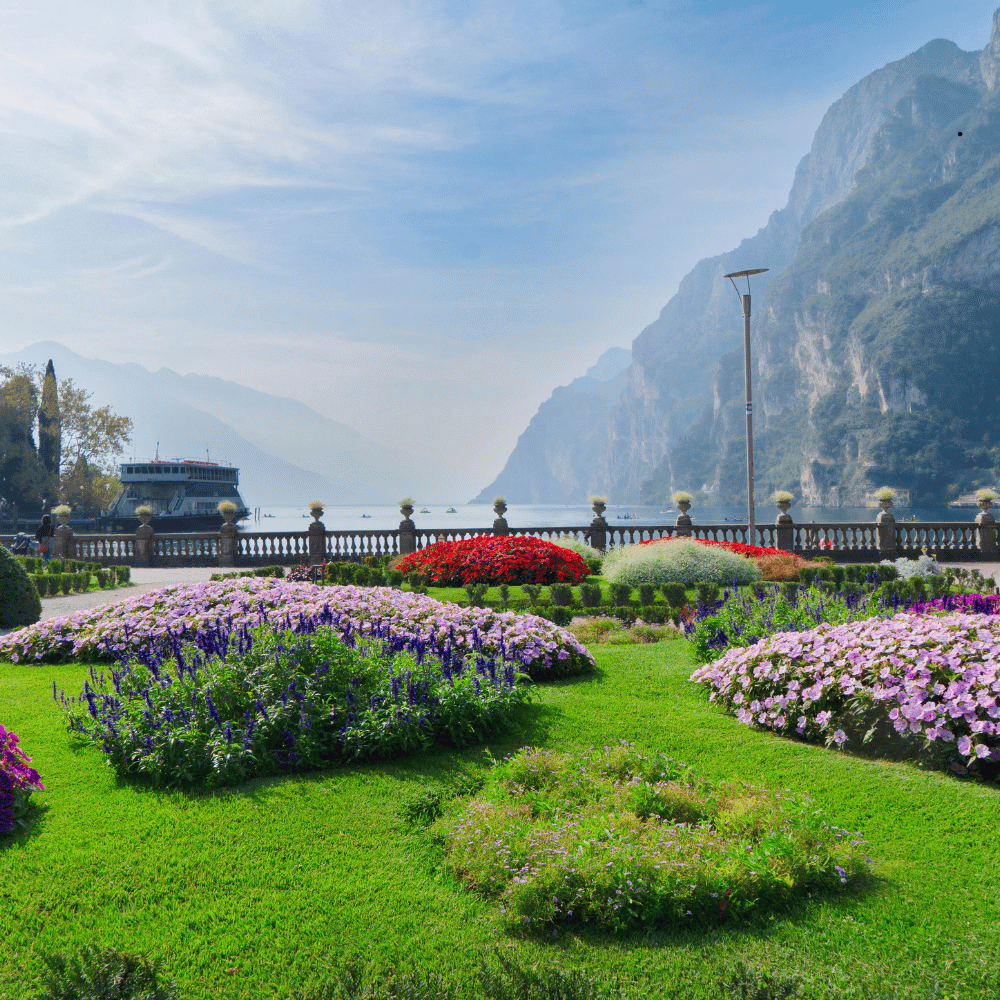 Compare Flights and Travel Essentials