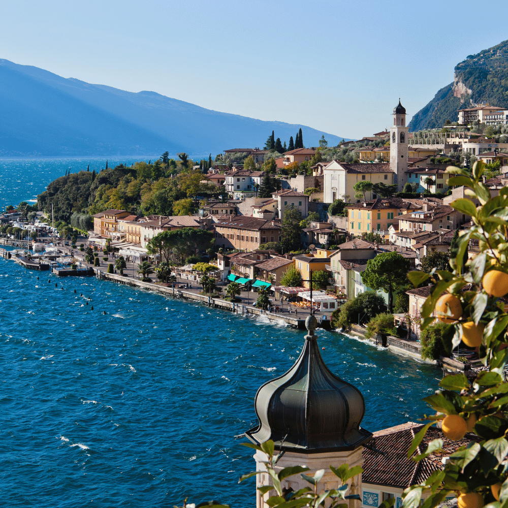 Compare Flights and Travel Essentials