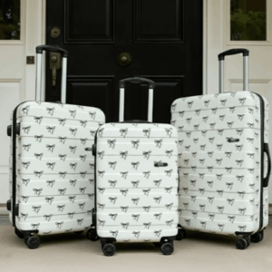 Hard shell suitcase set with bow print design and four wheels positioned outside before travel