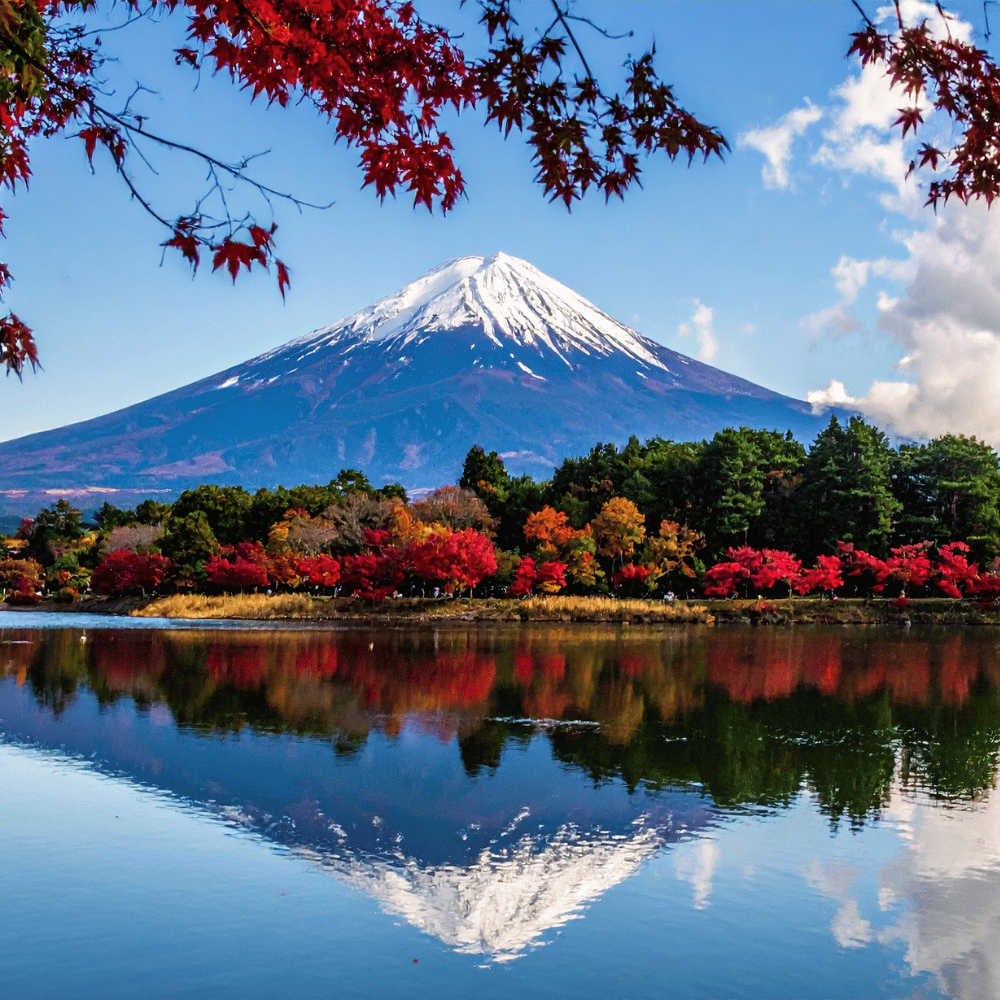 Compare Flights and Travel Essentials 17 Mount Fuji reflected in a lake with autumn trees