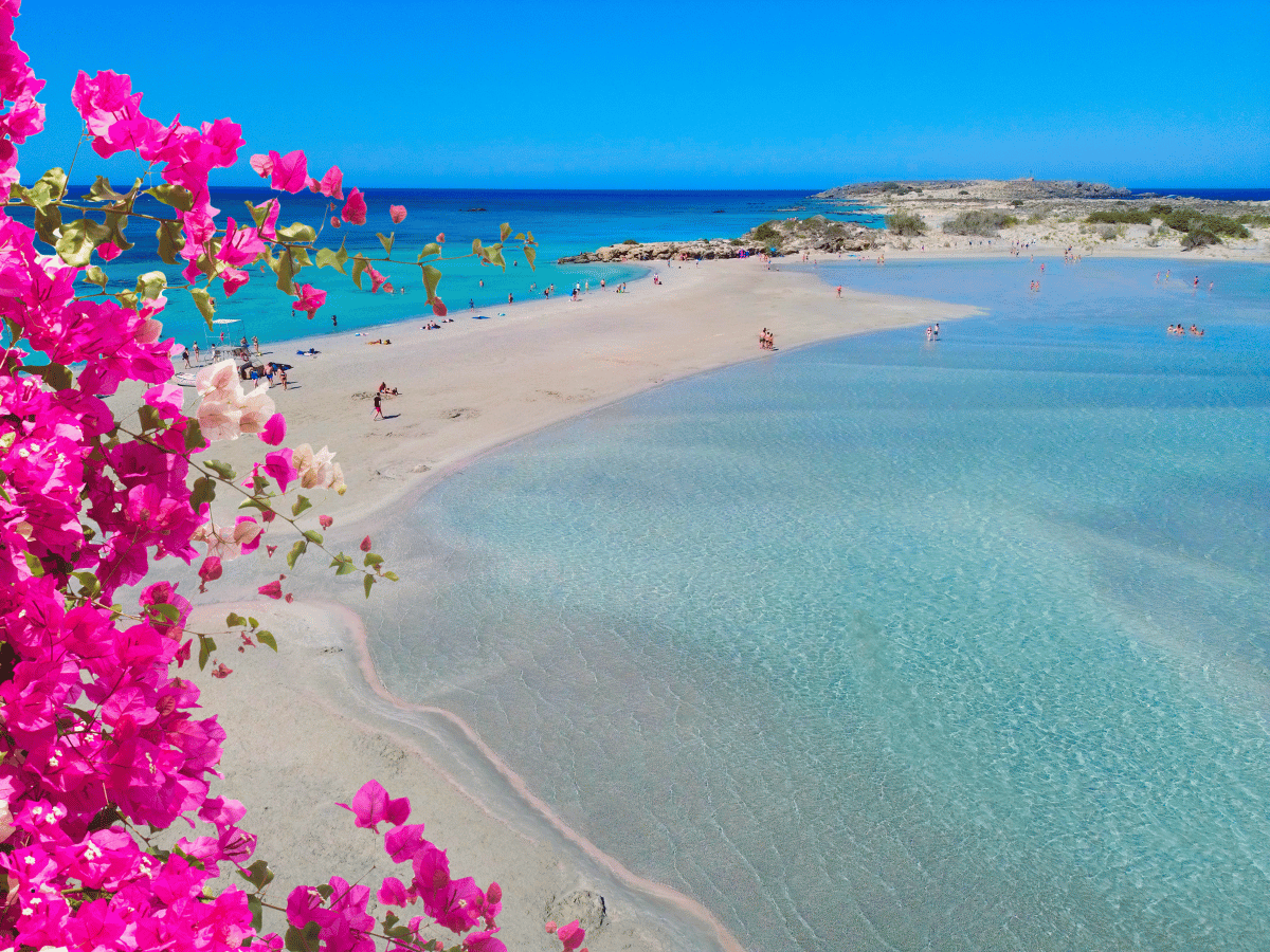 Summer Holidays