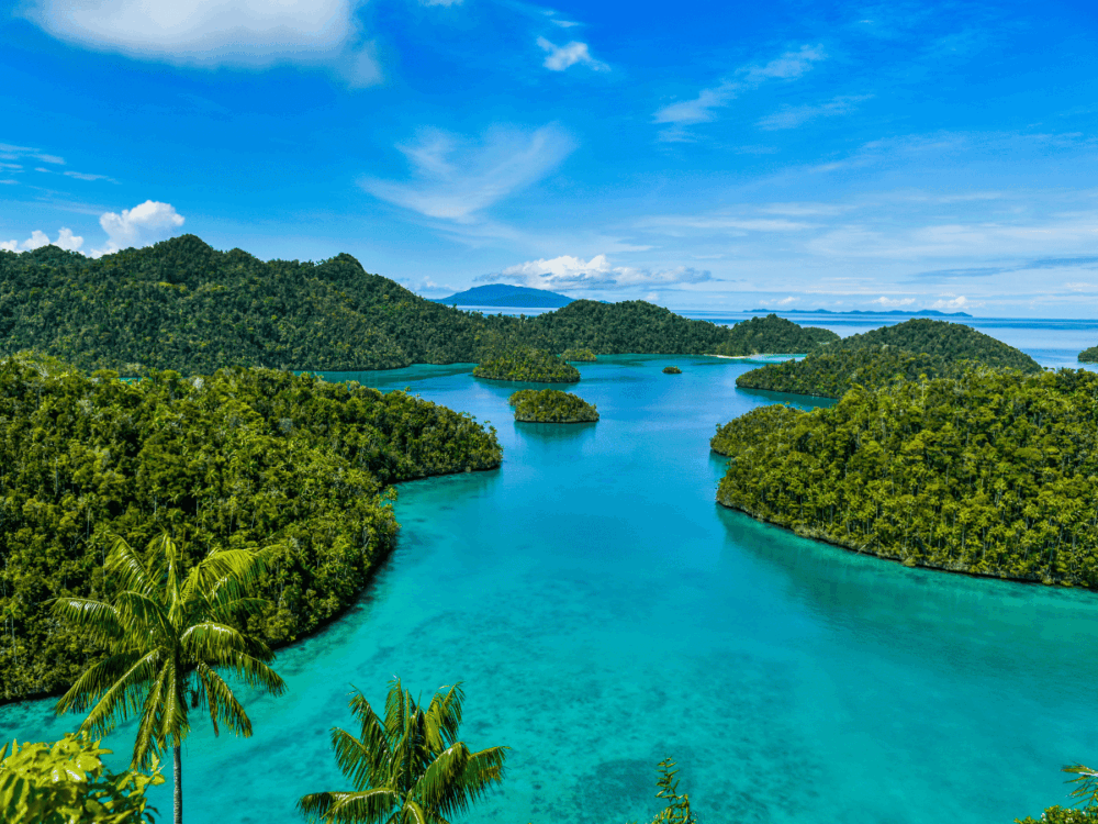 Tropical islands surrounded by turquoise water in Raja Ampat