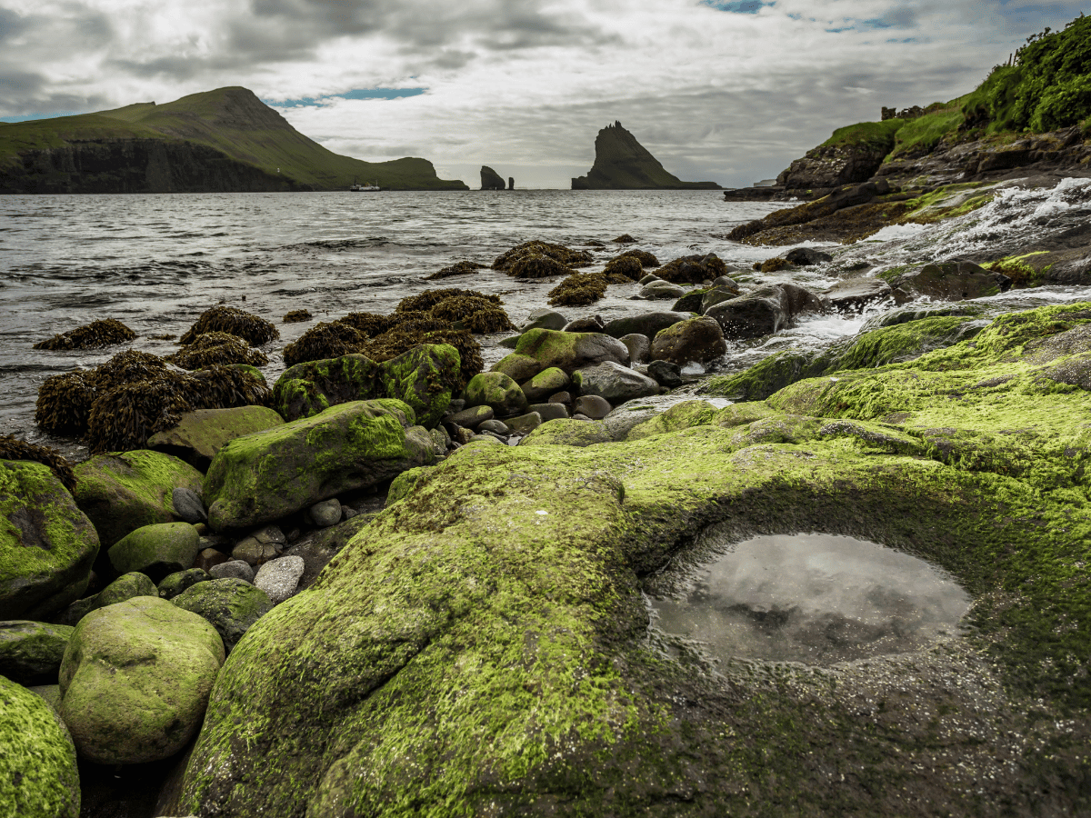 Air-Holiday | Smarter Holiday Planning, Deals & Inspiration 14 Rocky shoreline with moss-covered boulders overlooking the Faroe Islands coastline.