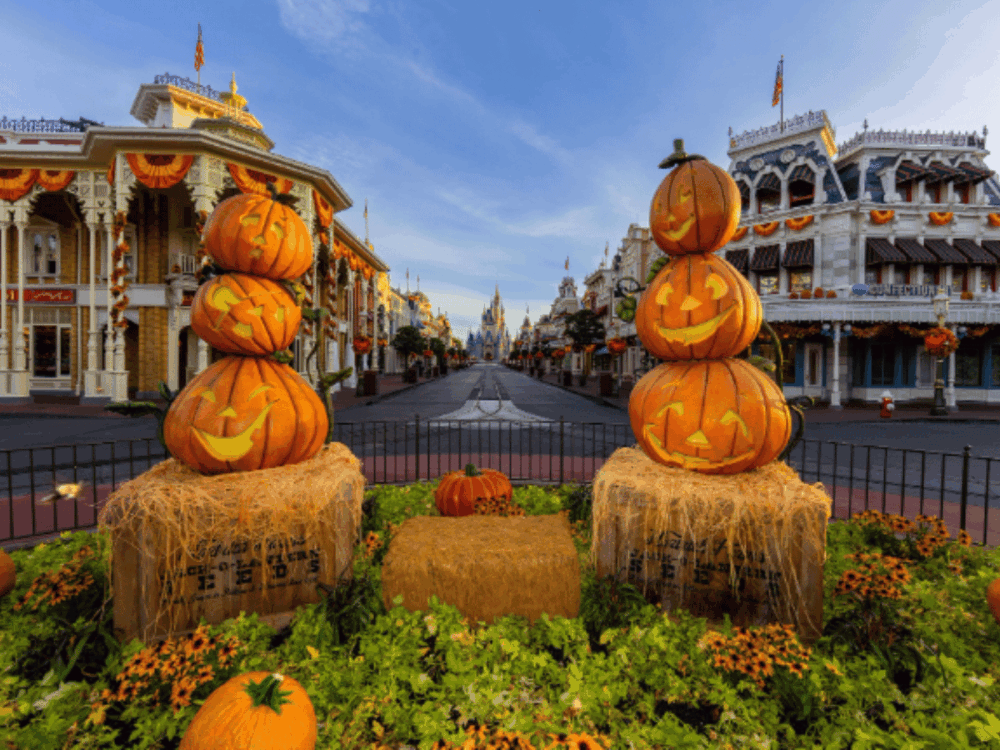 Halloween pumpkin displays on Main Street at Magic Kingdom