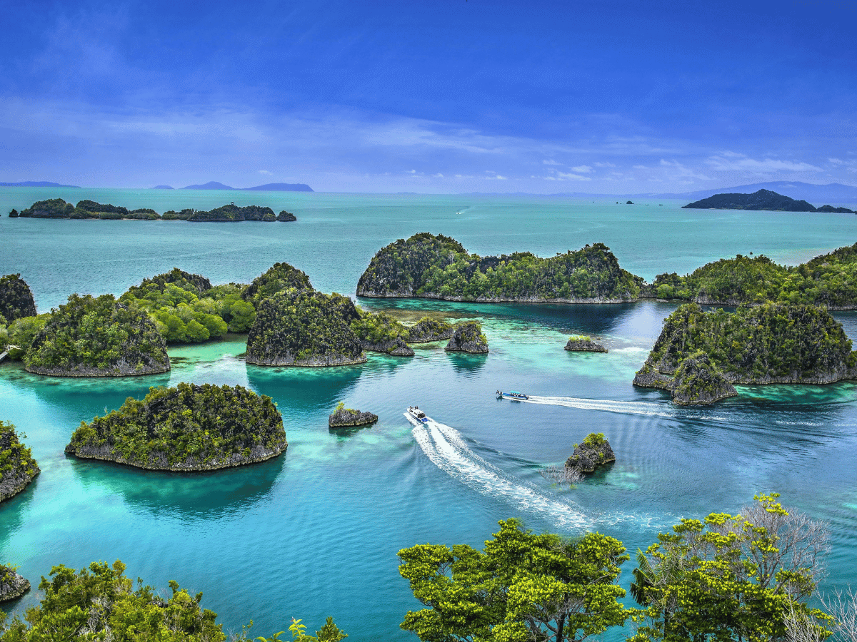 Small tropical islands surrounded by turquoise water in Raja Ampat.
