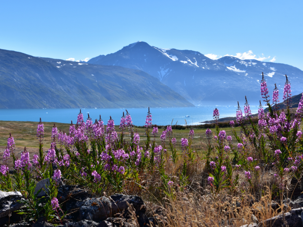 Featured Destinations