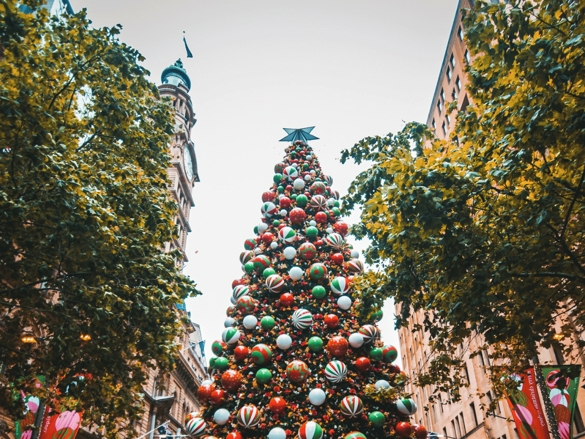Christmas Holidays
