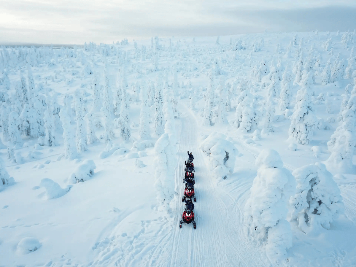 Things To Do in the Nordics & Arctic