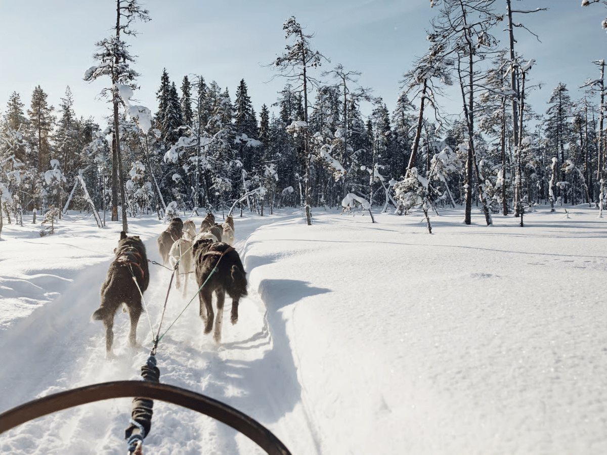 Things To Do in the Nordics & Arctic