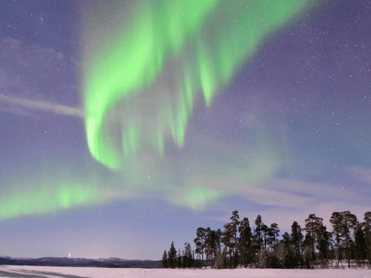 Things To Do in the Nordics & Arctic