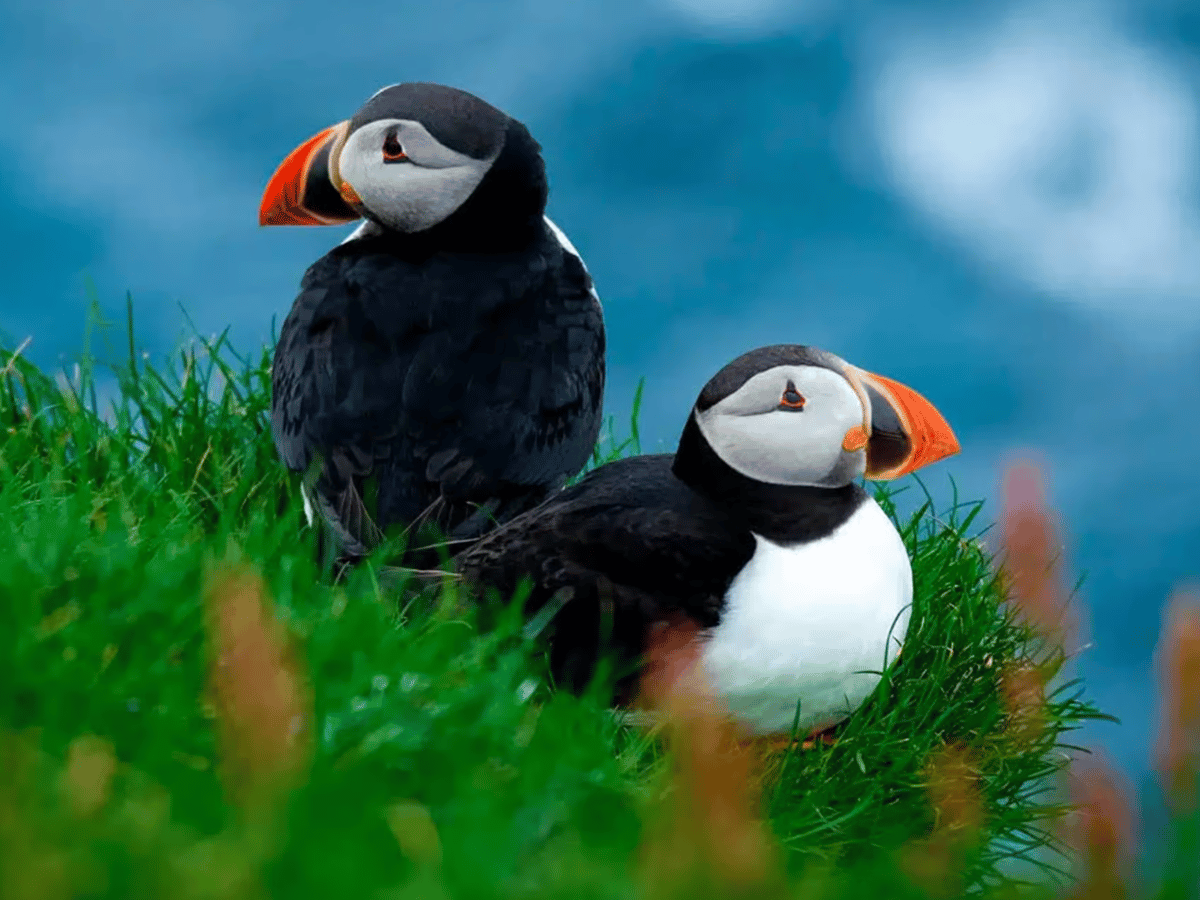 Things To Do in the Nordics & Arctic